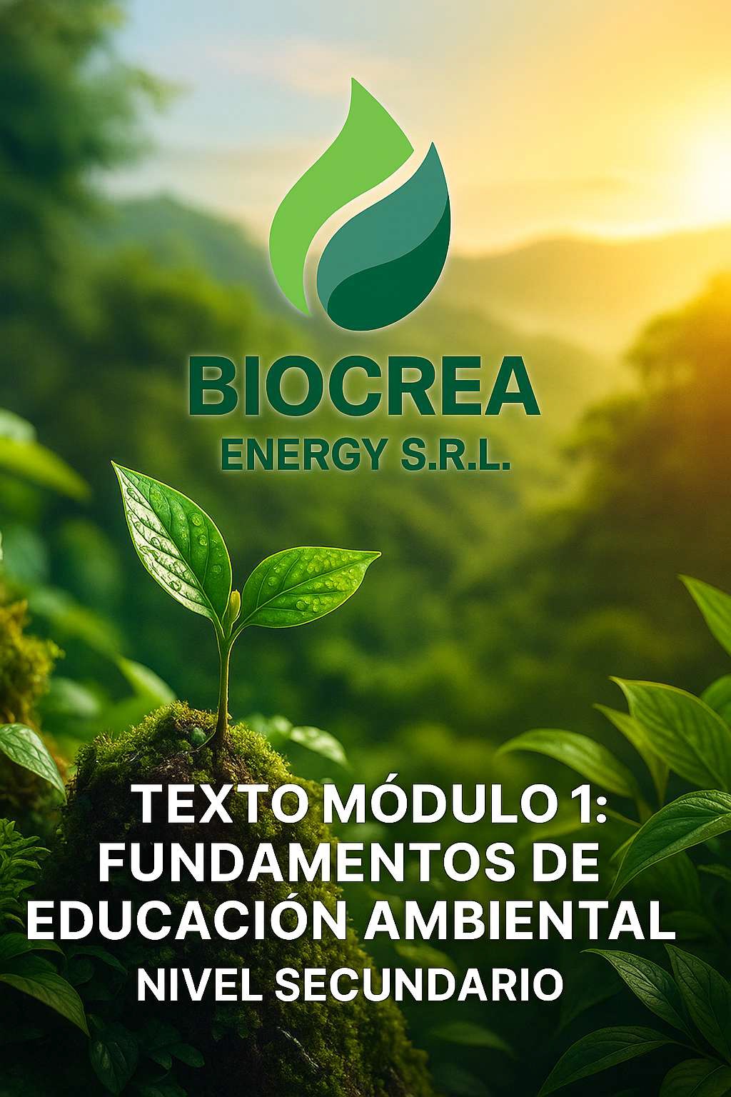 Texto Módulo 1 Fundamentos de la Educación Ambiental Nivel Secundario